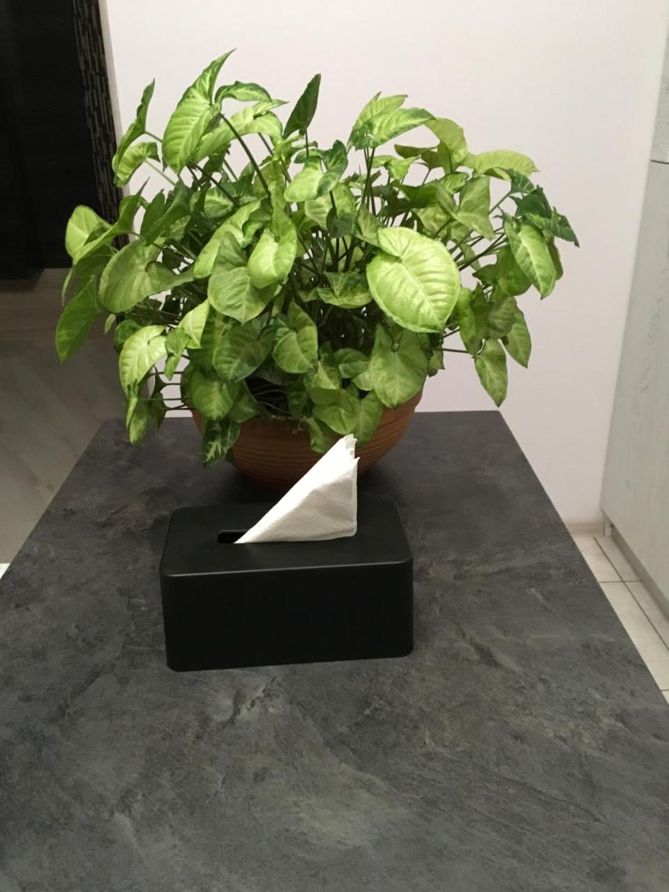 Apartment Viliamsa 敖德萨 外观 照片